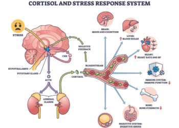 Stress and Heart Disease: How to Lower Cortisol and Why it Matters ...